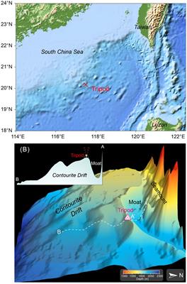 Sedimentary processes in the bottom boundary layer of a contourite drift in the northern South China Sea